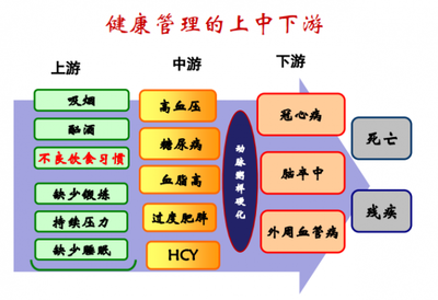 夏萌專家分享 健康管理與營養醫學經驗之談，顛覆你的思維！