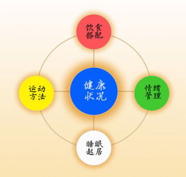 健康管理的特點(diǎn) 構(gòu)建全面、主動(dòng)、個(gè)性化的健康守護(hù)體系